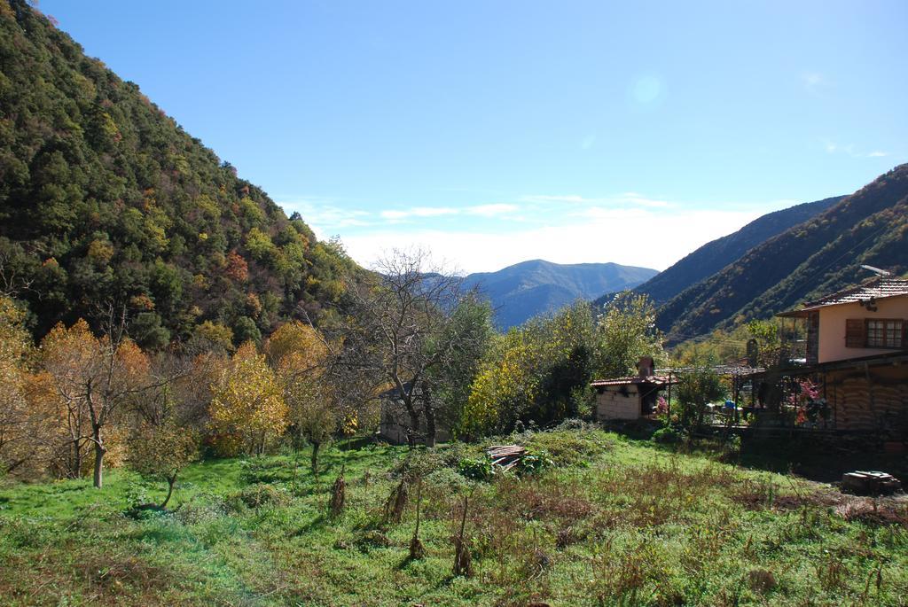 To Greki Livartzi Exterior photo